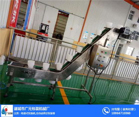 江蘇鴨蛋全自動(dòng)包裝機(jī),諸城廣元機(jī)械,鴨蛋全自動(dòng)包裝機(jī)多少錢